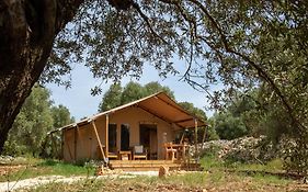 Domus Olea Glamping