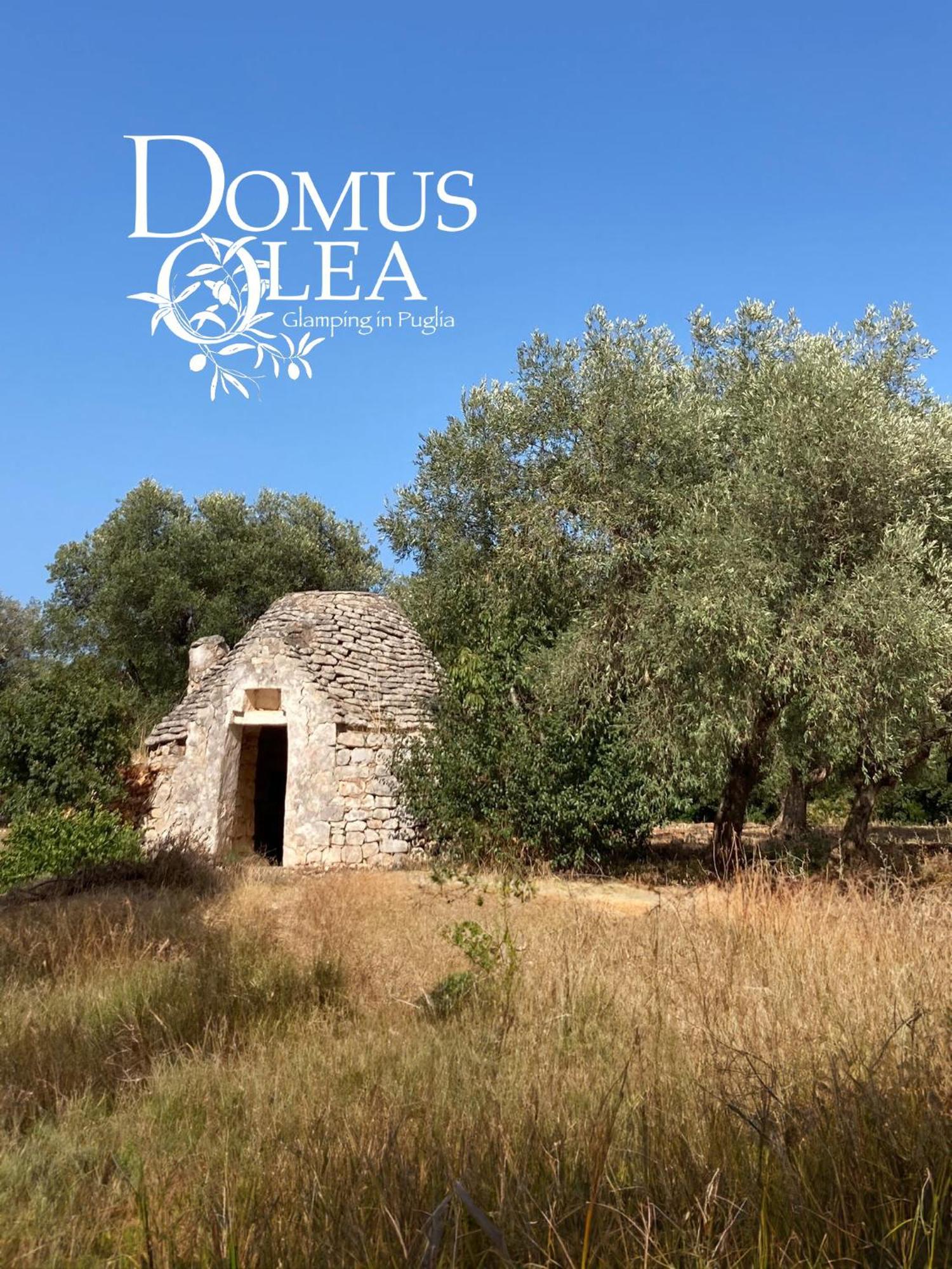 Hotel Domus Olea Glamping Ceglie Messapica Esterno foto